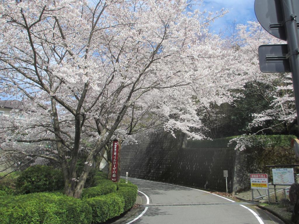 Hotel Sunroute Tokushima Exterior foto